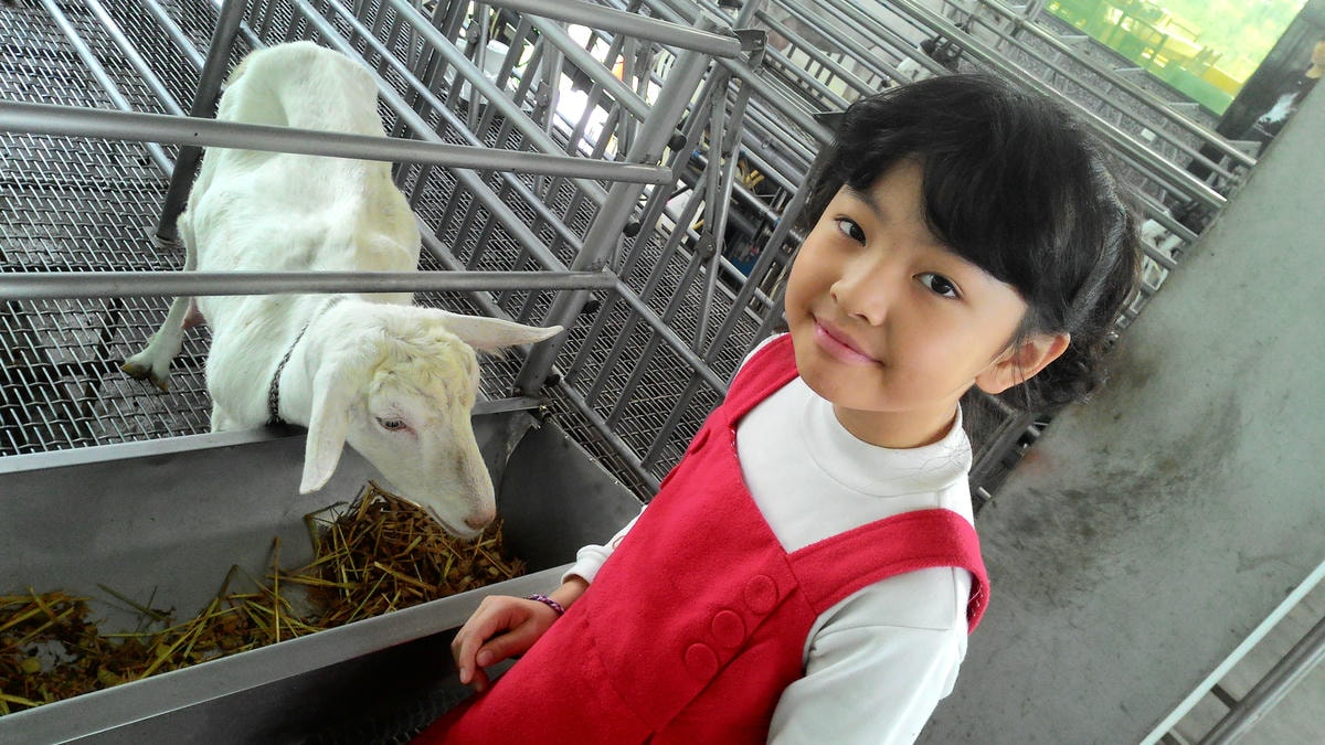 20251013-ggn4r 20251013-ggn4r