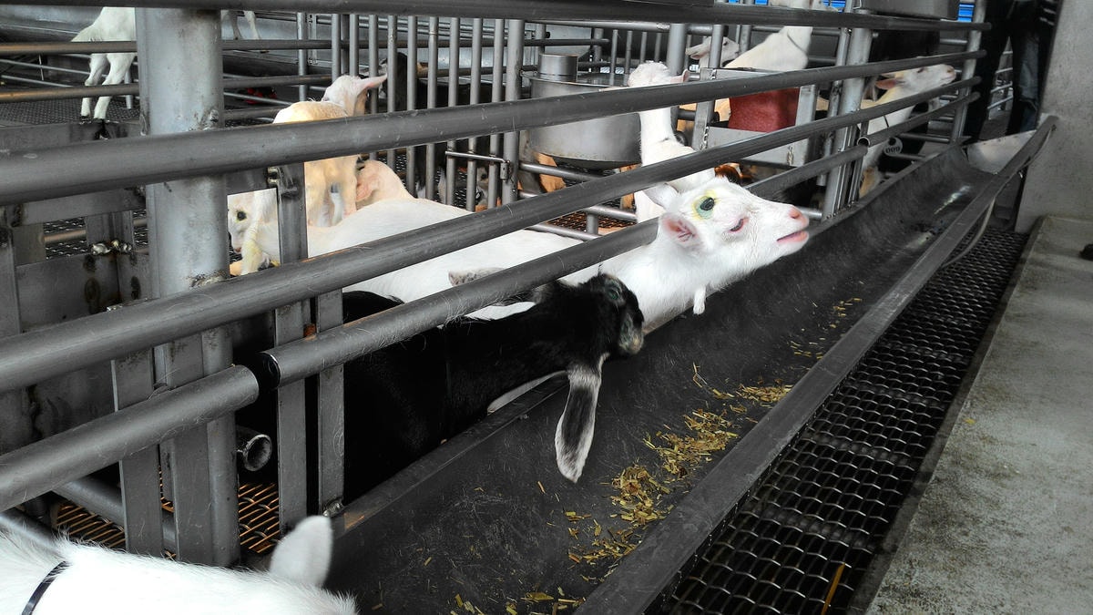 20251013-kvye7 20251013-kvye7