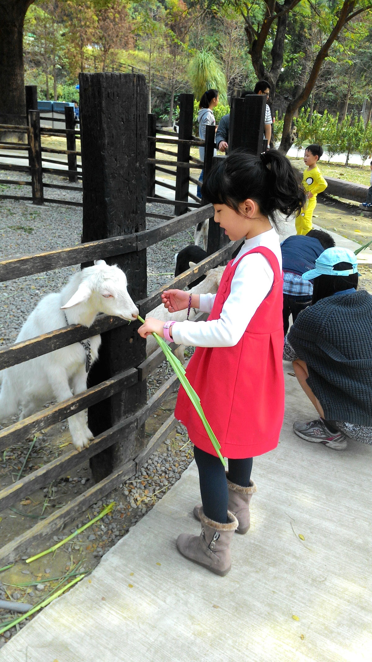 20251013-nlbs6 20251013-nlbs6