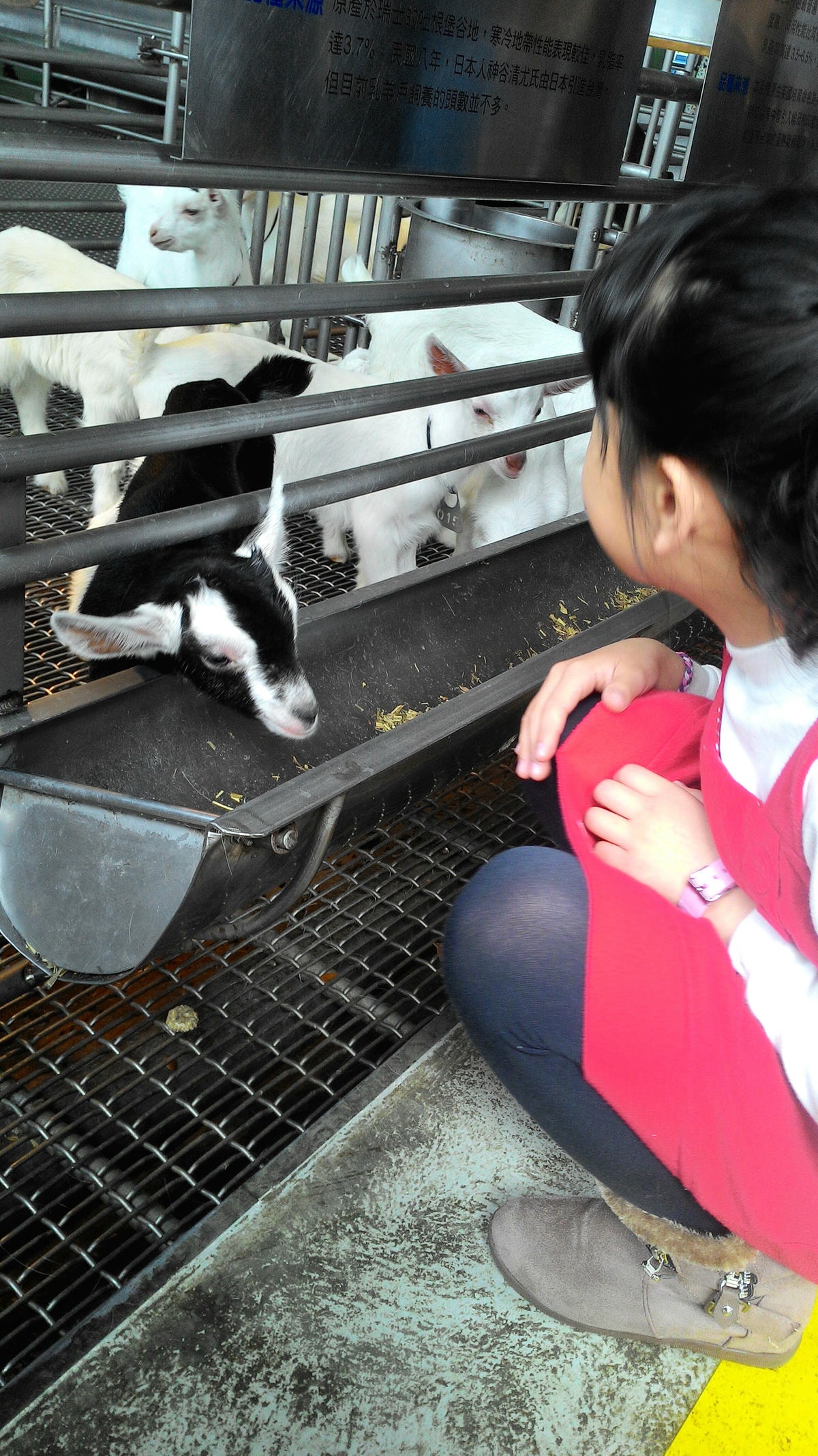 20251013-np35y 20251013-np35y