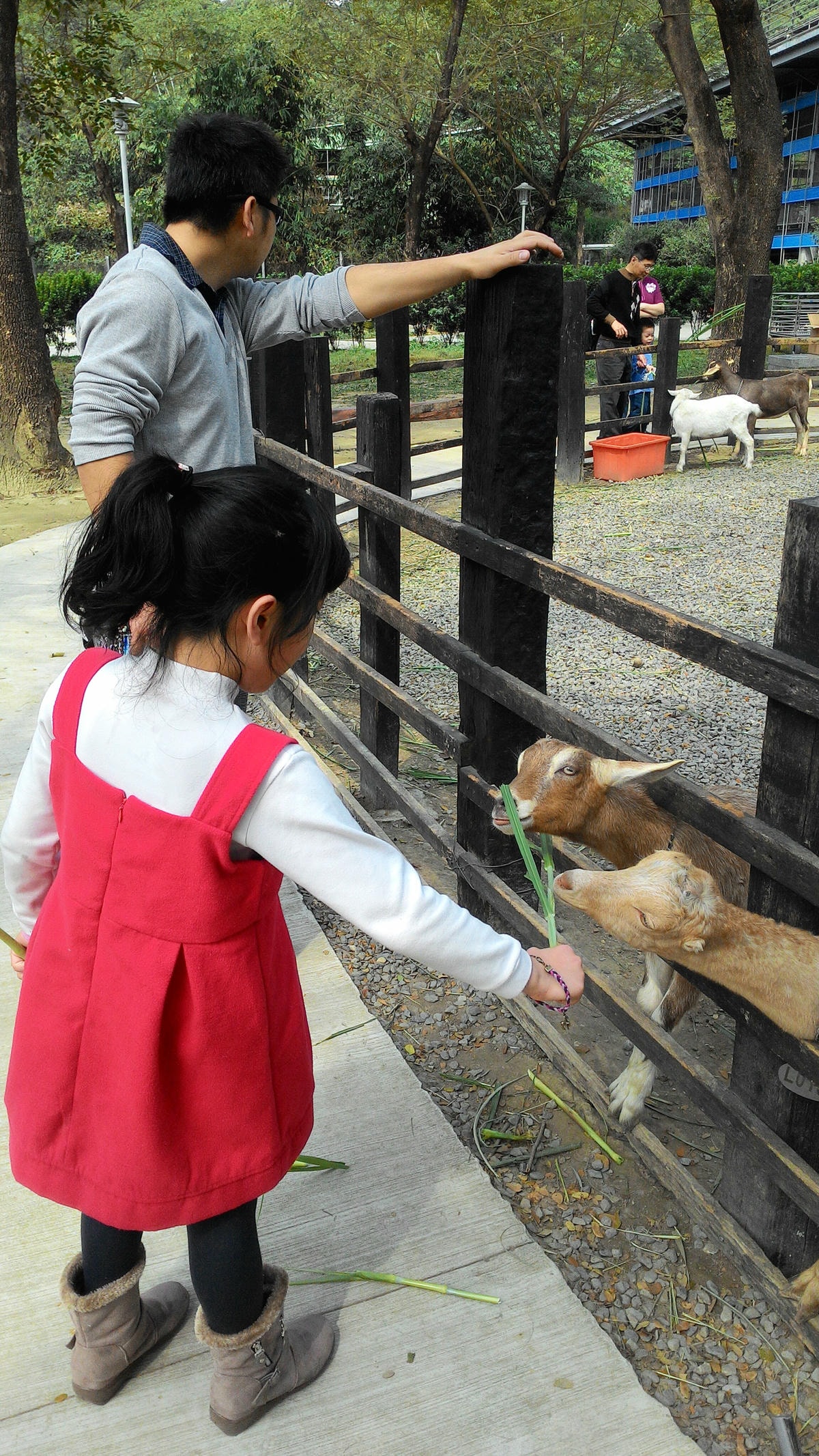 20251013-o3ibi 20251013-o3ibi