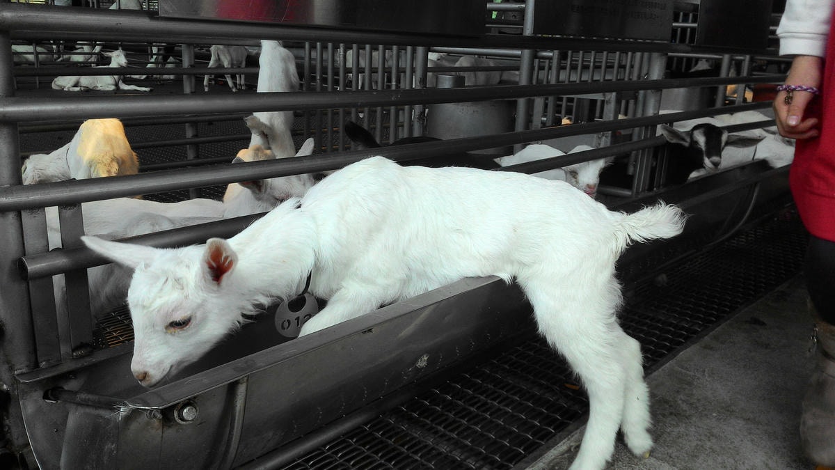 20251013-o5gj8 20251013-o5gj8