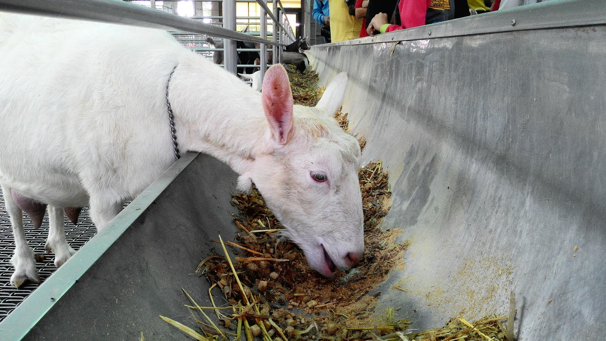 20251013-ot1b8 20251013-ot1b8