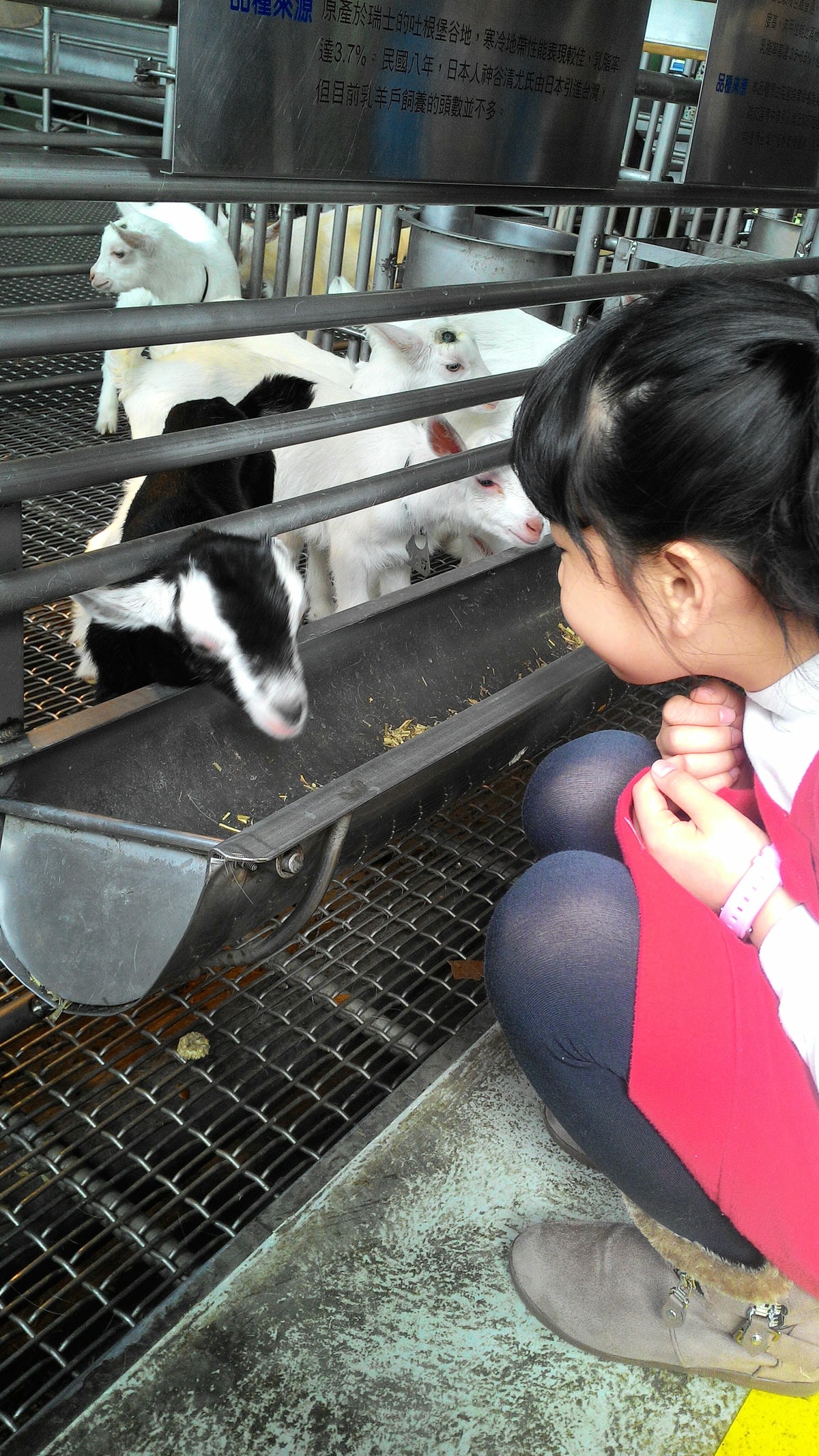 20251013-pizs5 20251013-pizs5