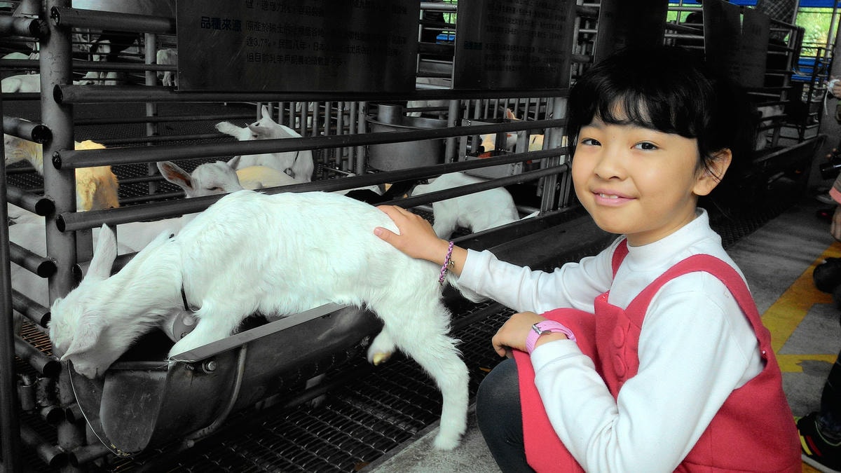 20251013-qgri8 20251013-qgri8