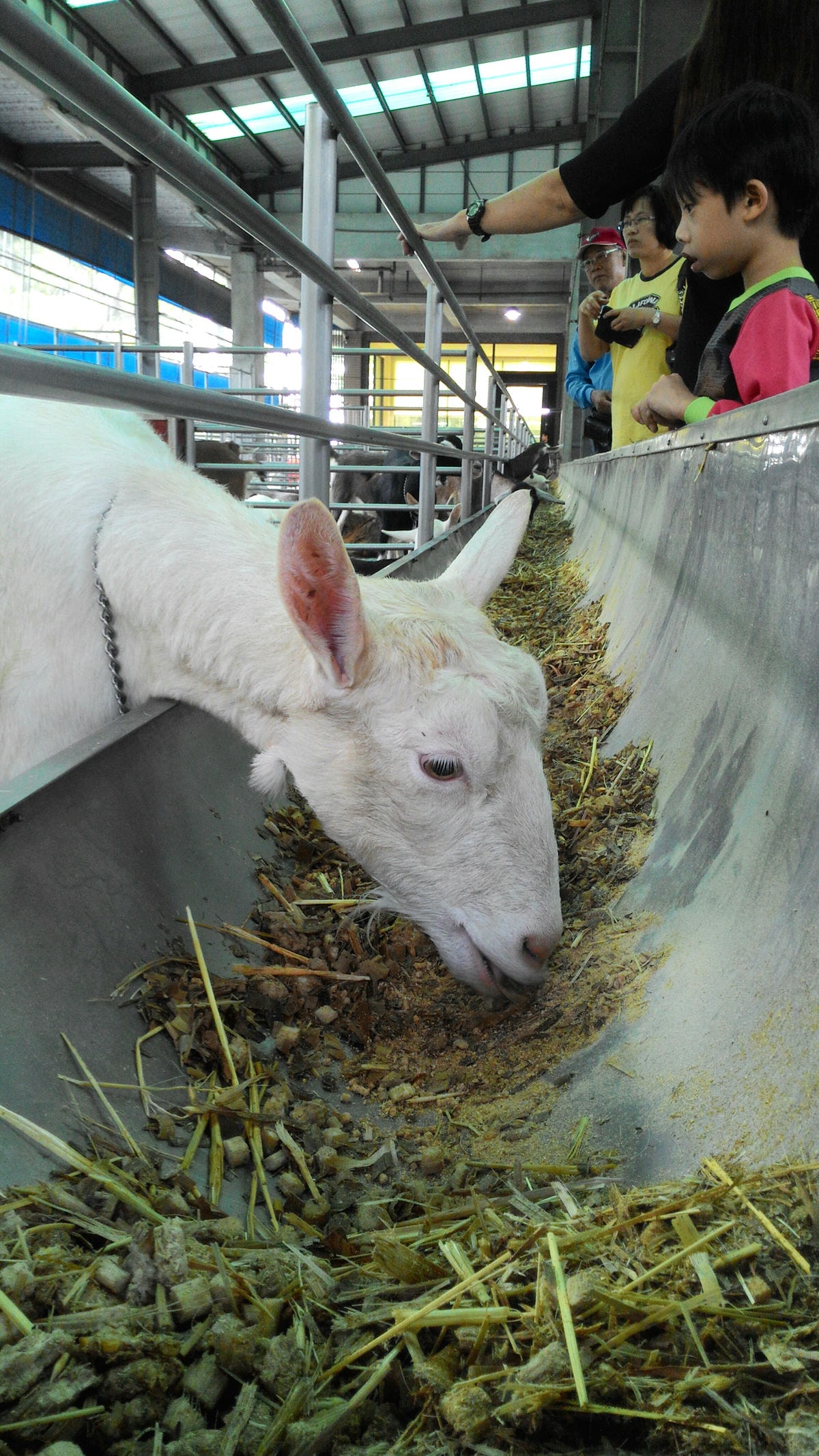 20251013-tvxgy 20251013-tvxgy