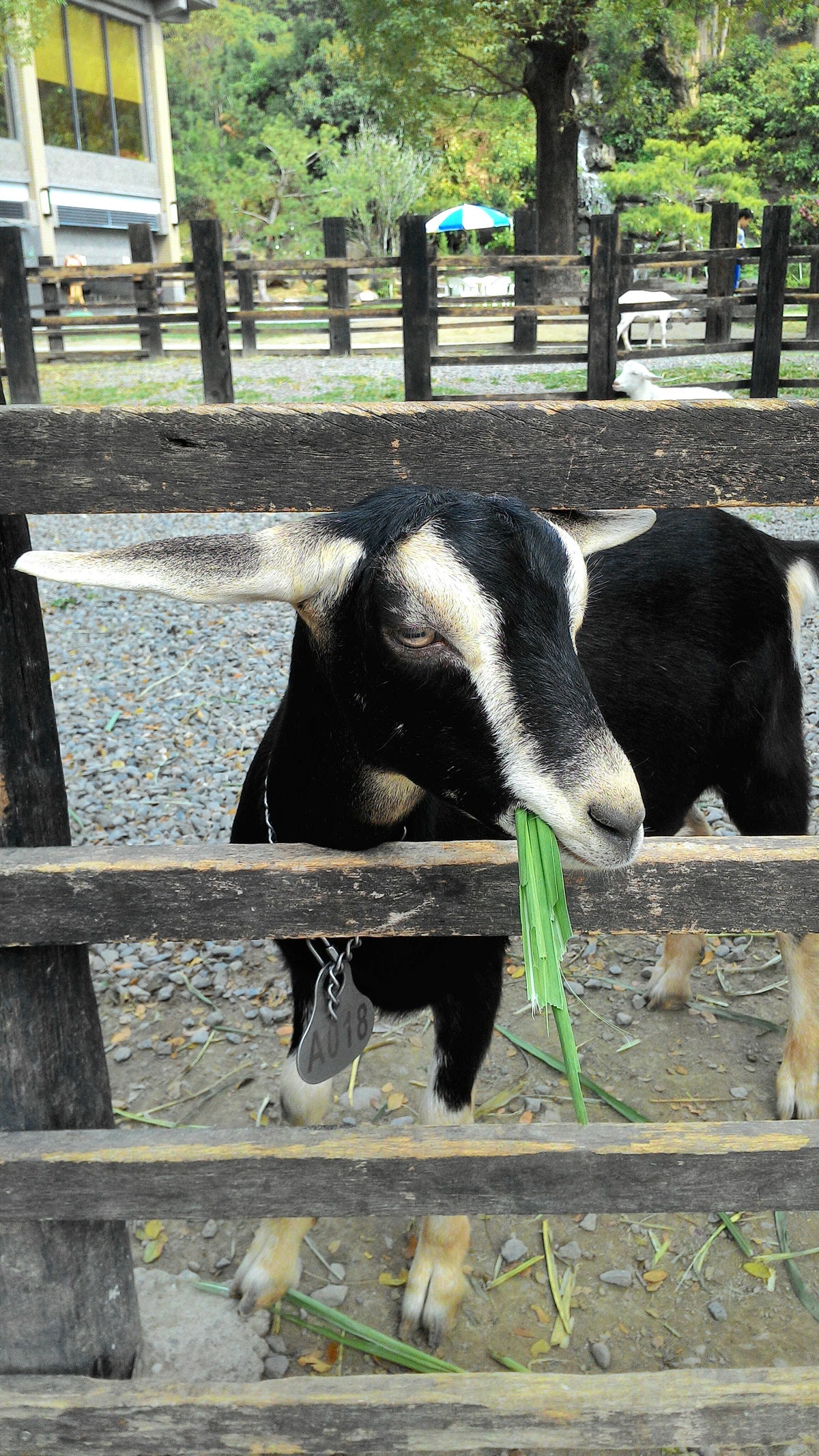 20251013-w86fp 20251013-w86fp