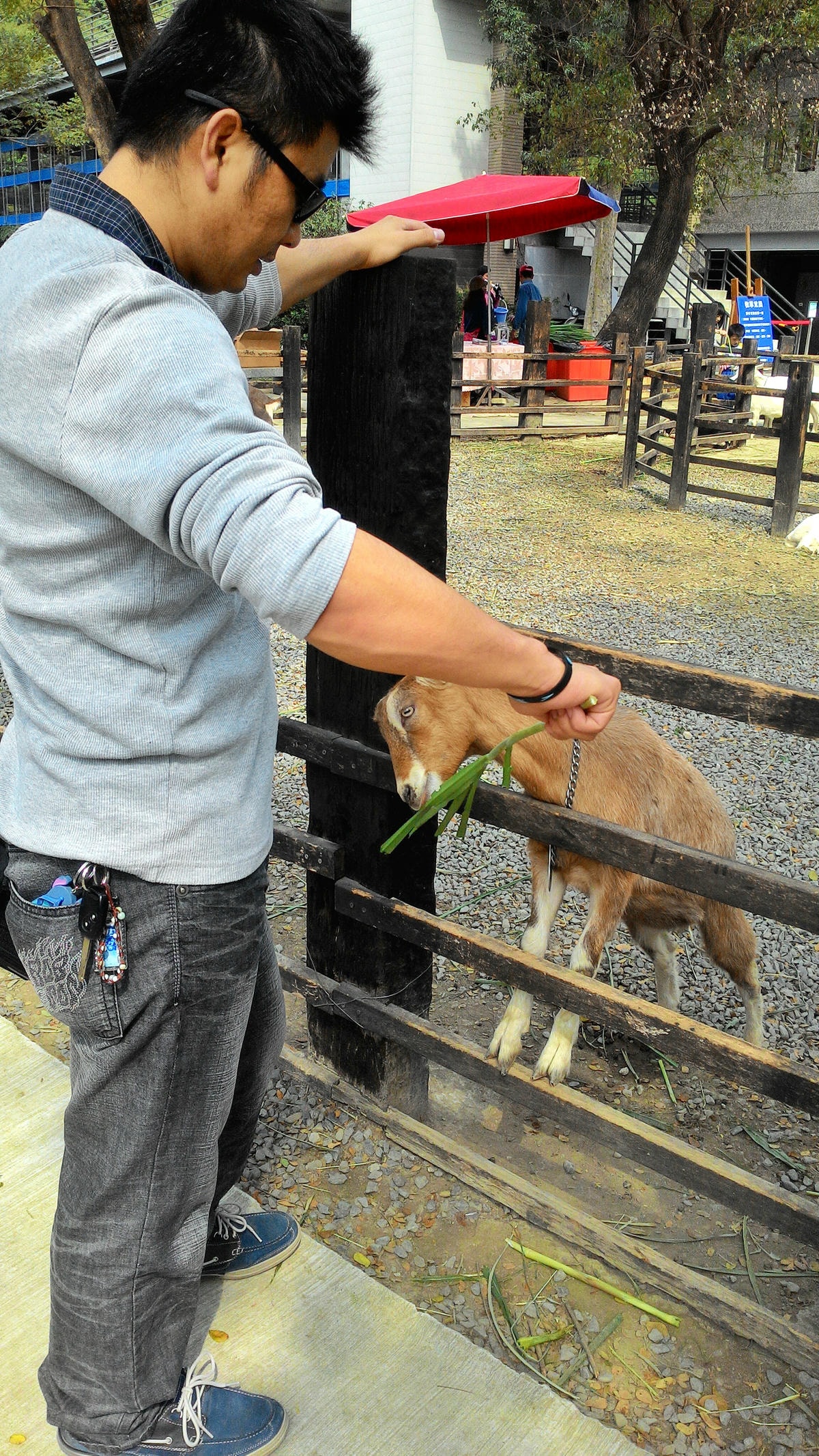 20251013-zr2y8 20251013-zr2y8