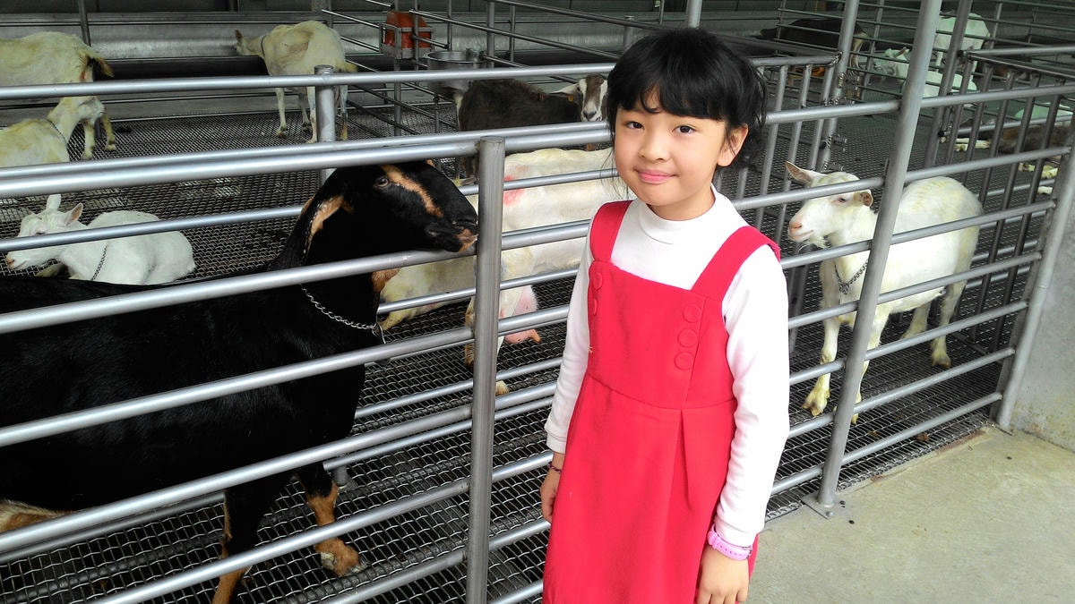 20251013-zub70 20251013-zub70