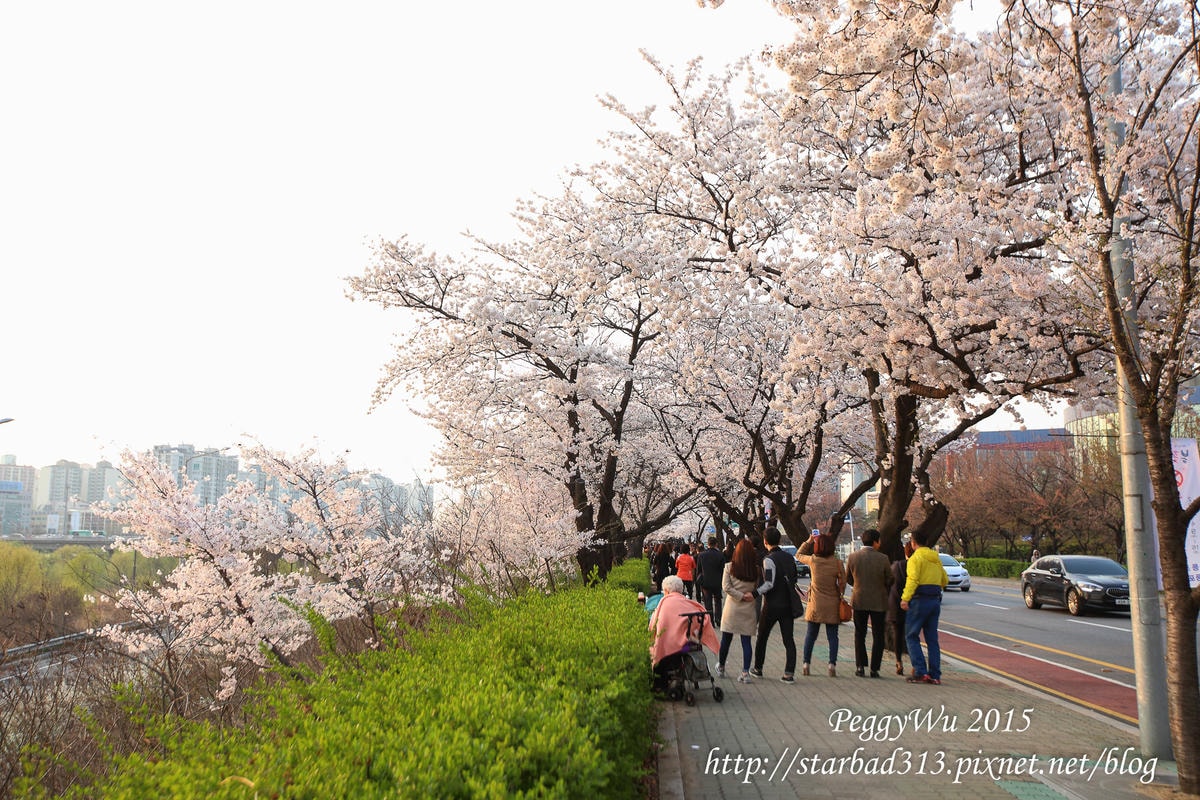 20251013-51701 20251013-51701