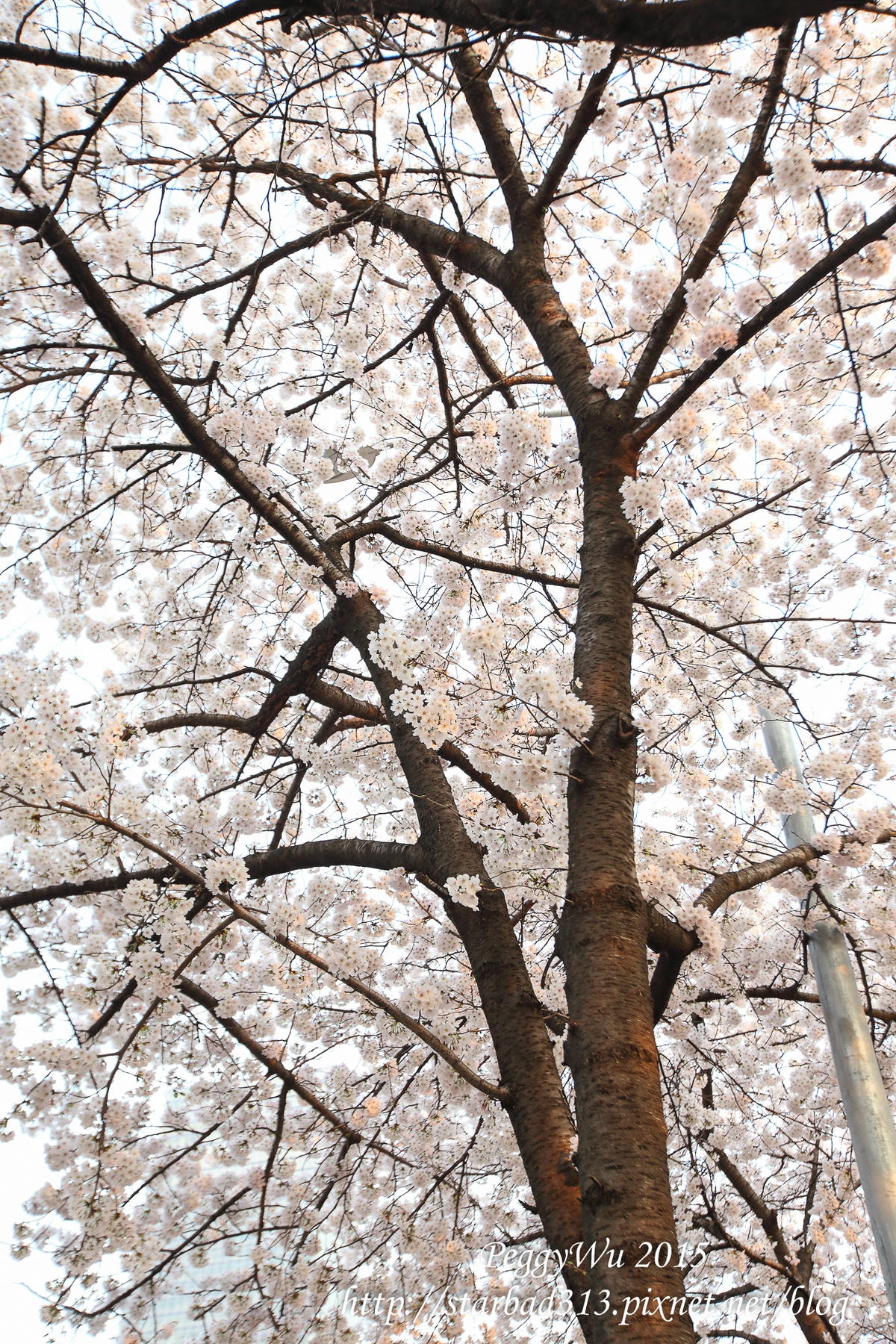 20251013-52xgf 20251013-52xgf