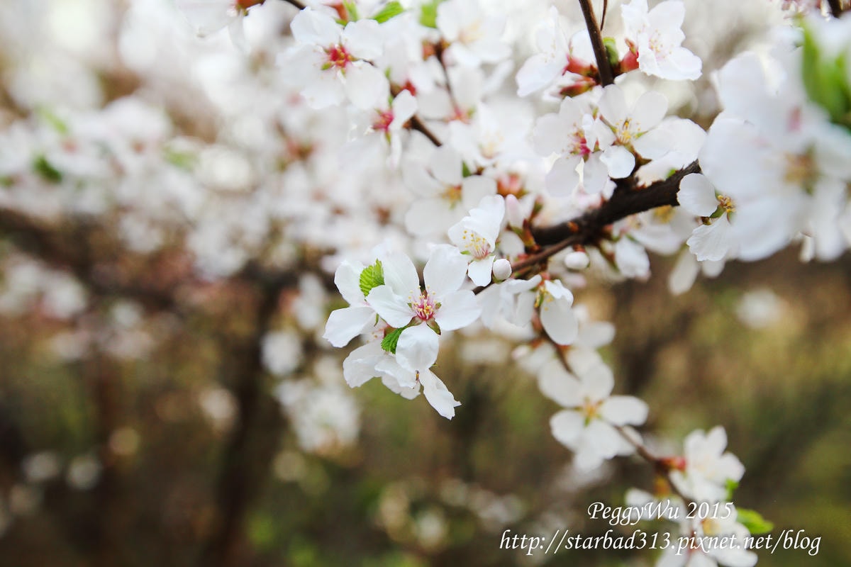 20251013-5d12s 20251013-5d12s