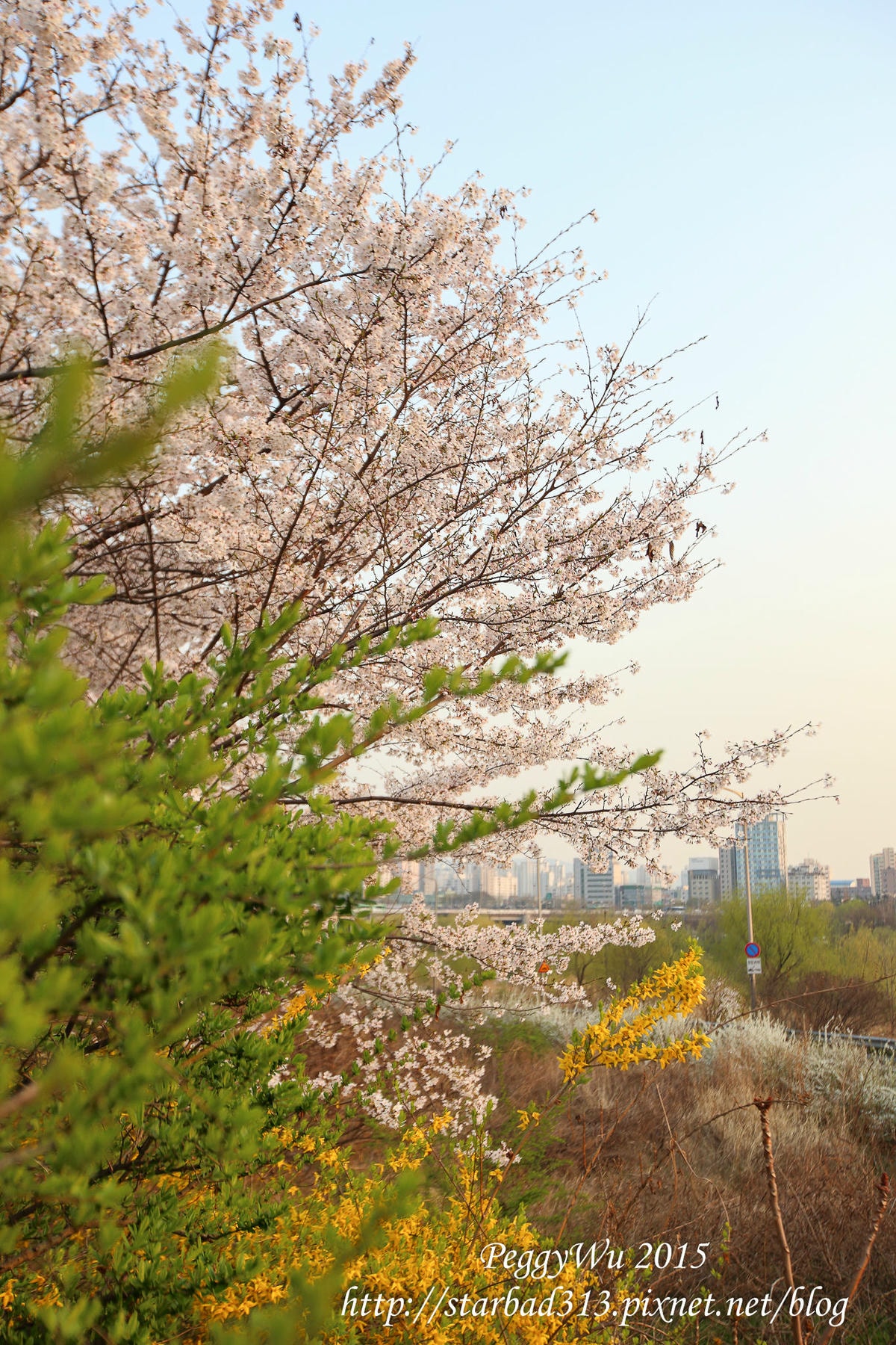 20251013-726u1 20251013-726u1