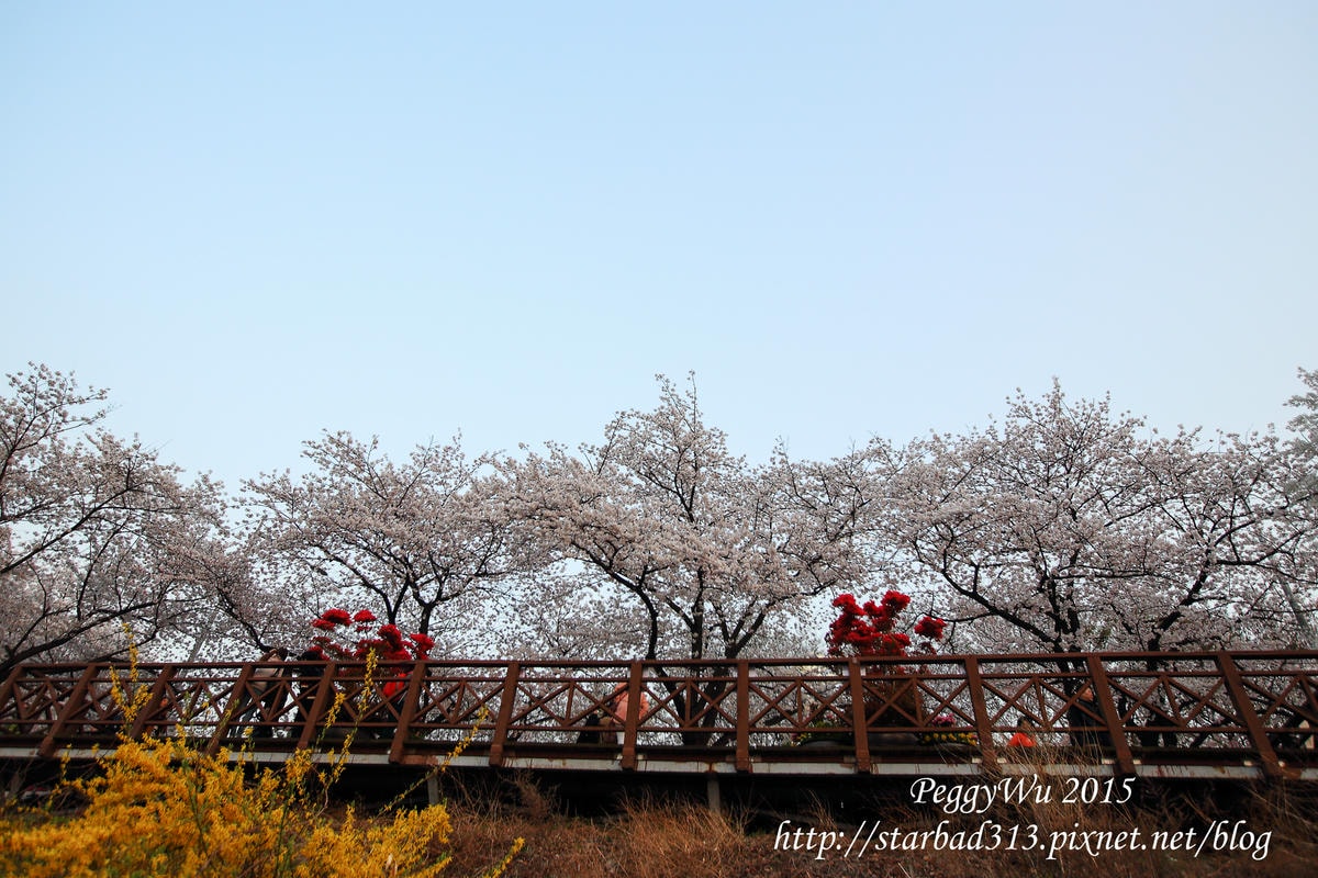 20251013-awaq6 20251013-awaq6