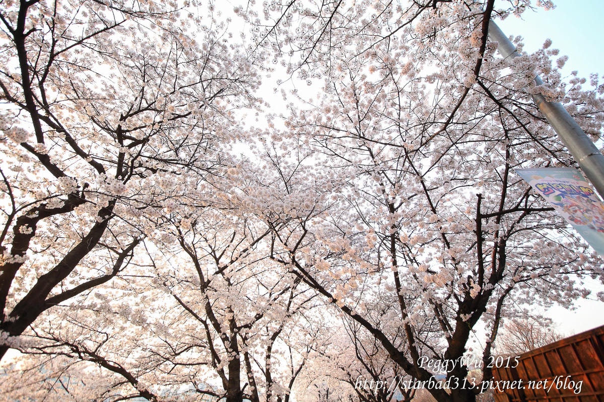 20251013-cw0lo 20251013-cw0lo