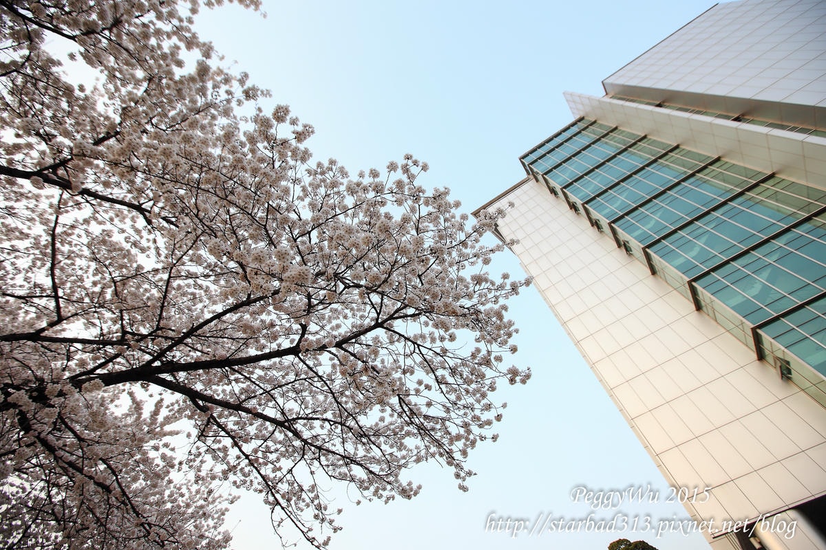 20251013-fj8e2 20251013-fj8e2