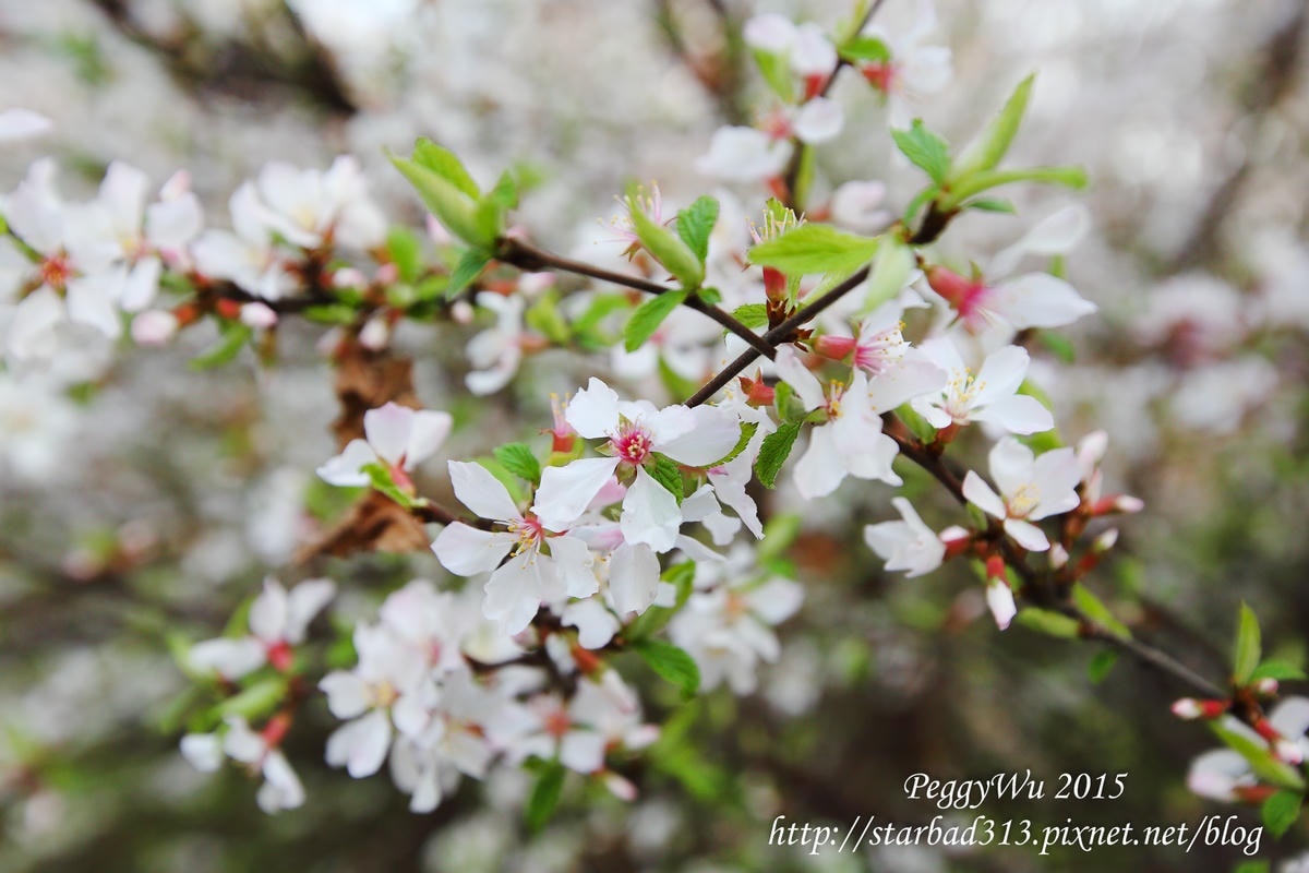 20251013-hi7eb 20251013-hi7eb