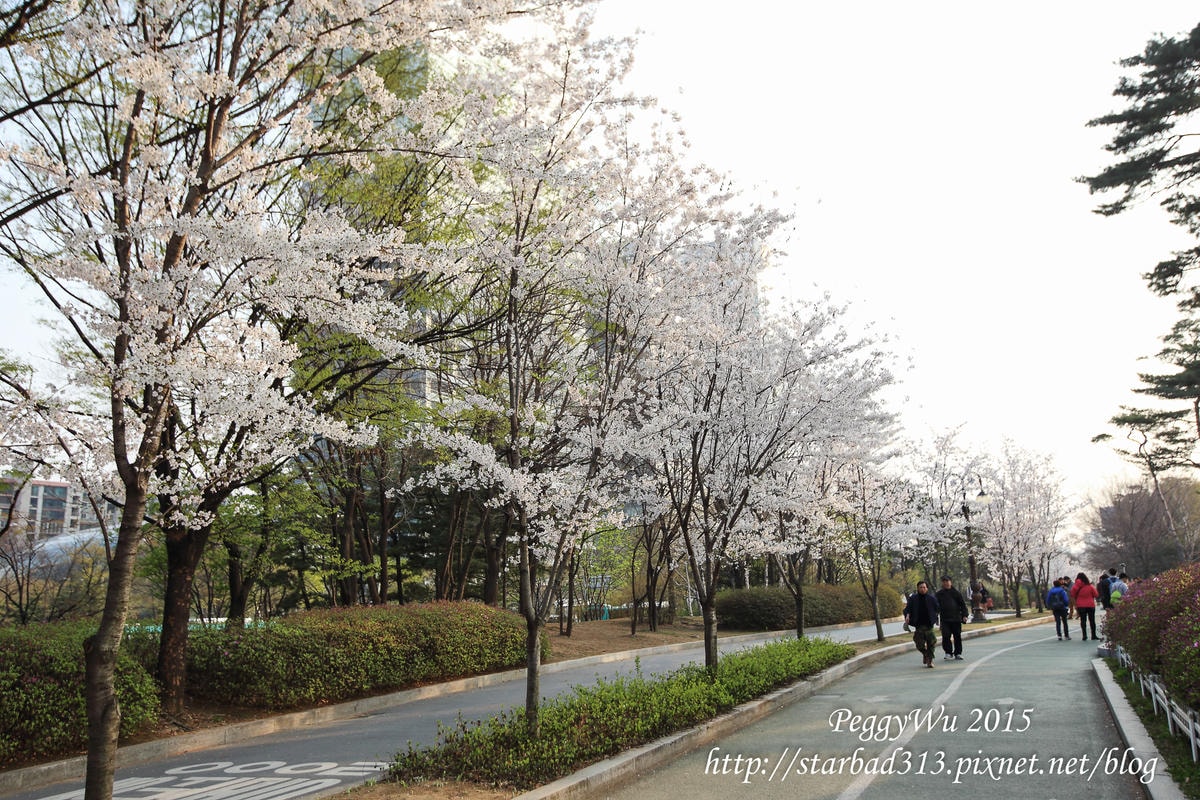 20251013-lolom 20251013-lolom