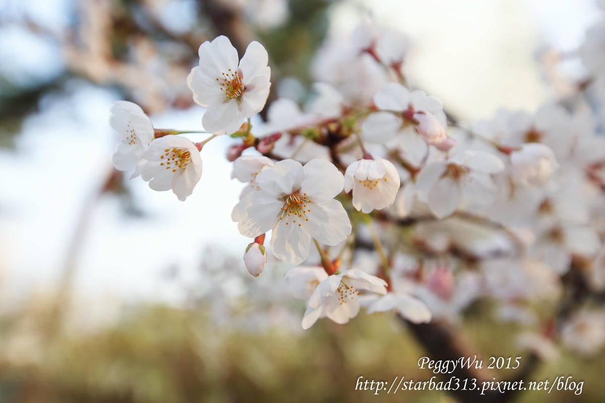 20251013-mi6b9 20251013-mi6b9