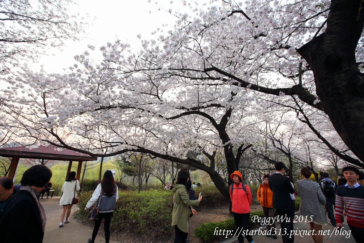 20251013-nw5ad 20251013-nw5ad