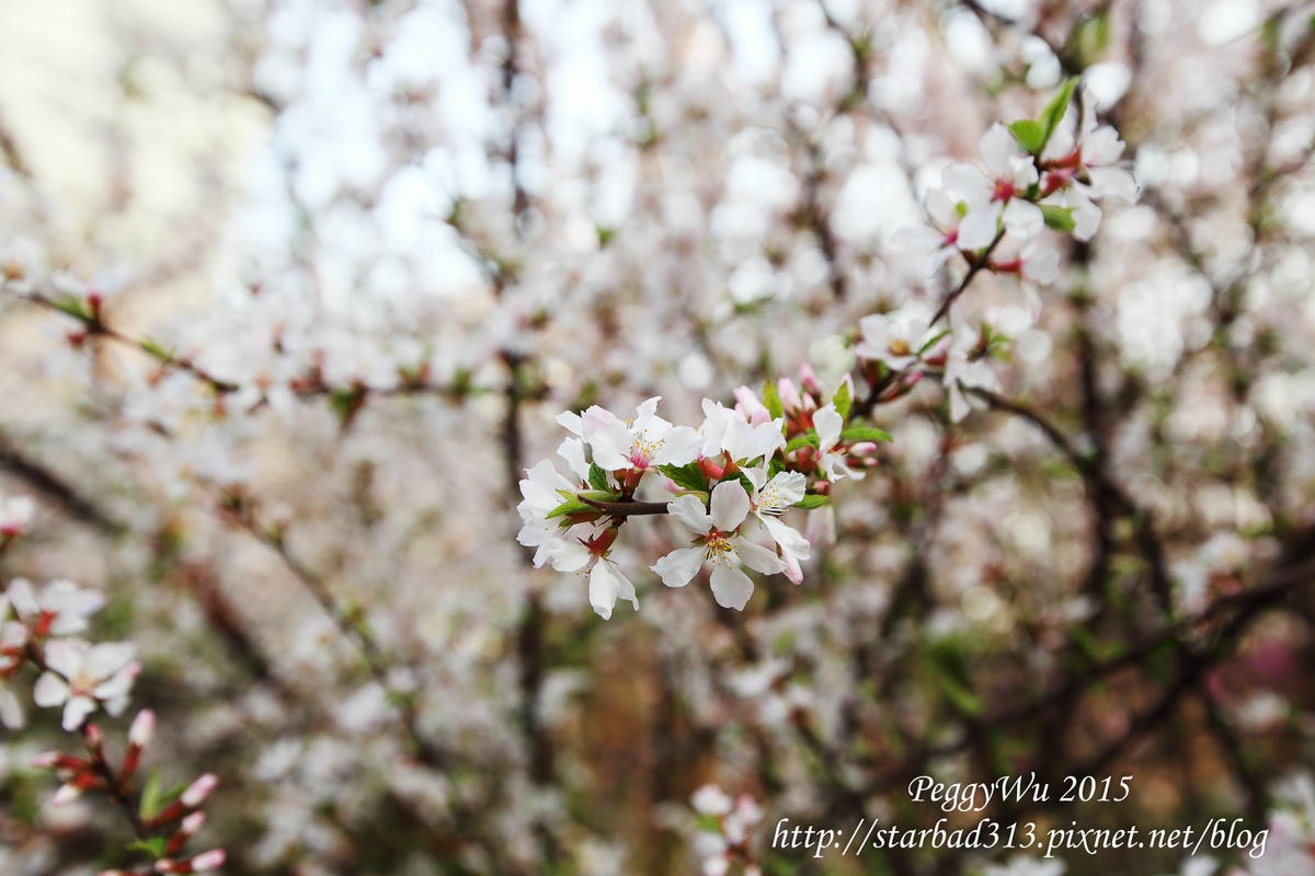 20251013-o500e 20251013-o500e