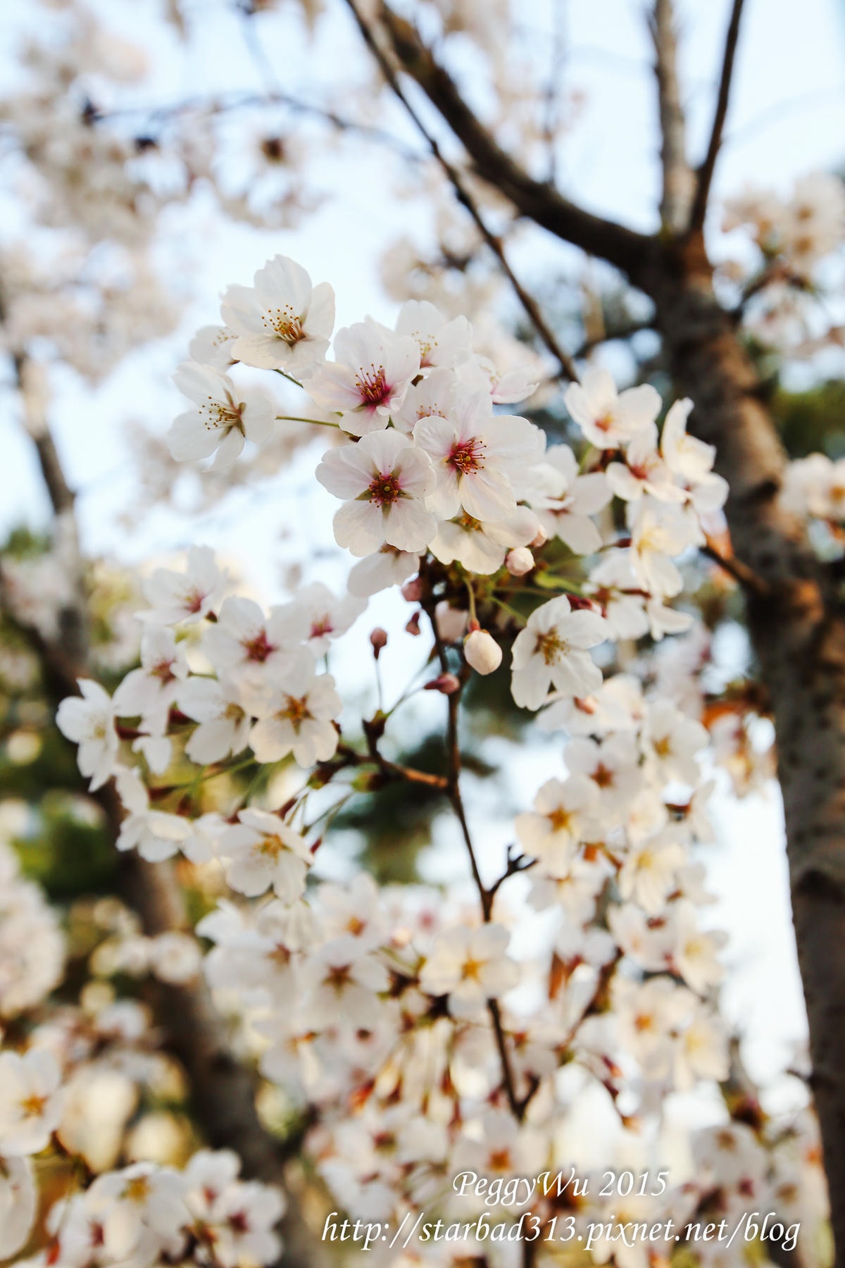 20251013-obblf 20251013-obblf