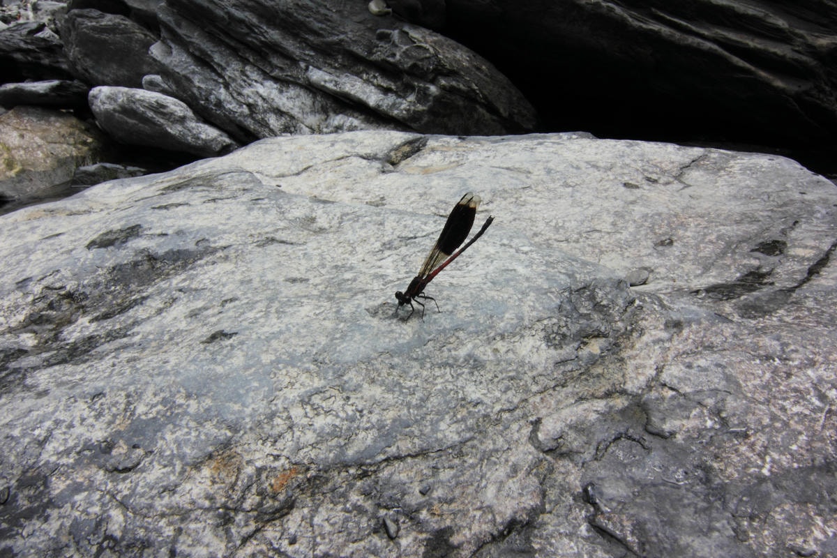 20251013-ok8ig 20251013-ok8ig