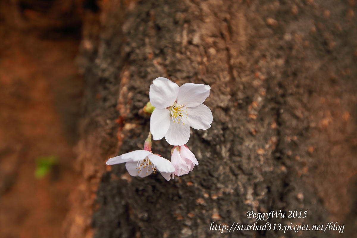 20251013-qurt9 20251013-qurt9