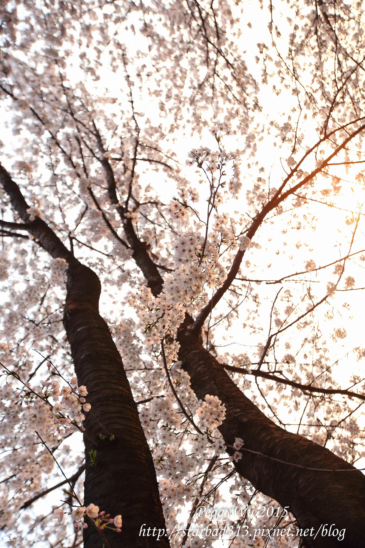 20251013-rapn4 20251013-rapn4