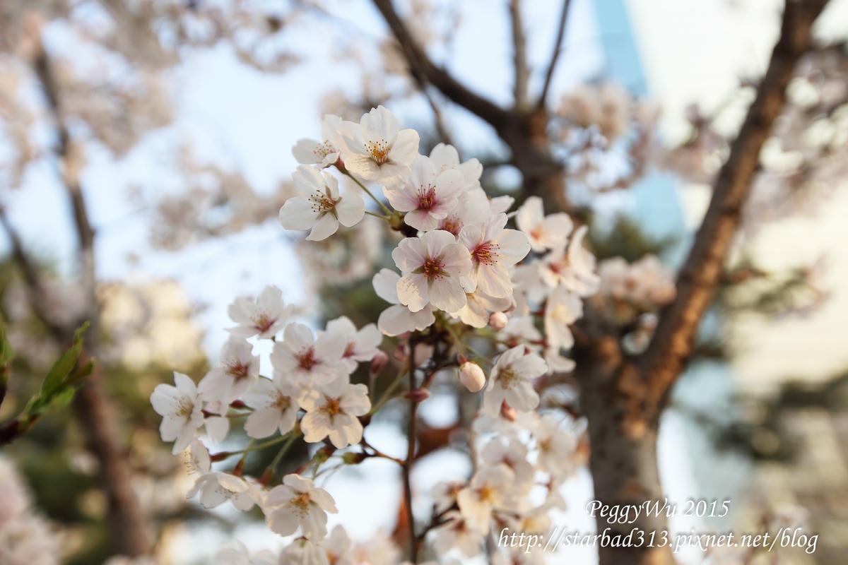 20251013-vcf7s 20251013-vcf7s