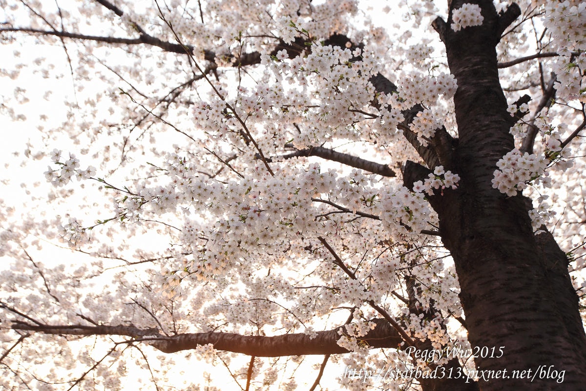 20251013-w8gk2 20251013-w8gk2