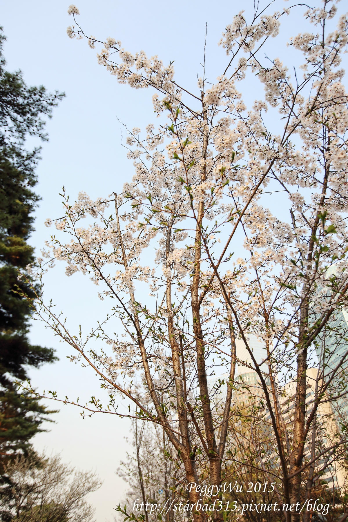 20251013-x4occ 20251013-x4occ