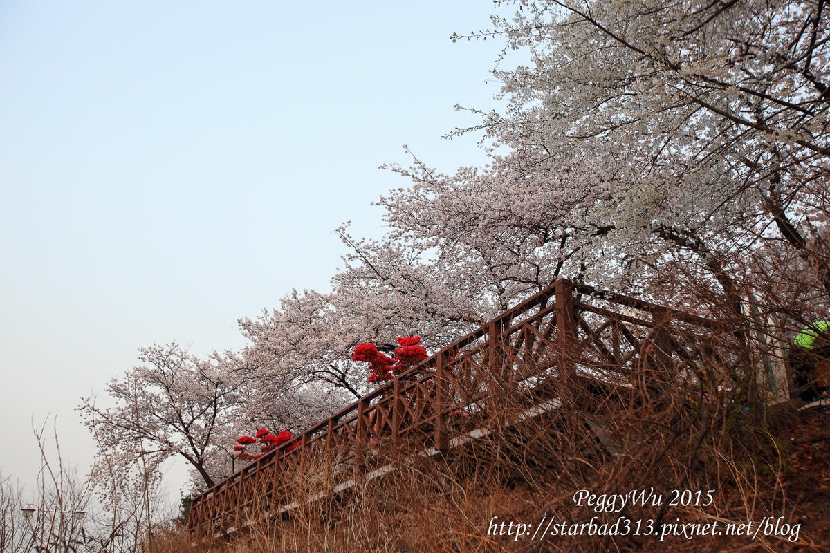 20251013-z83i1 20251013-z83i1