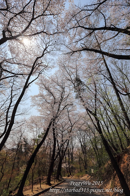 20251013-03iaz 20251013-03iaz