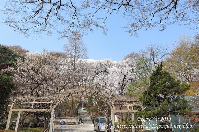 20251013-0qa7s 20251013-0qa7s