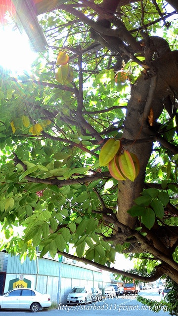 20251013-1m1p5 20251013-1m1p5