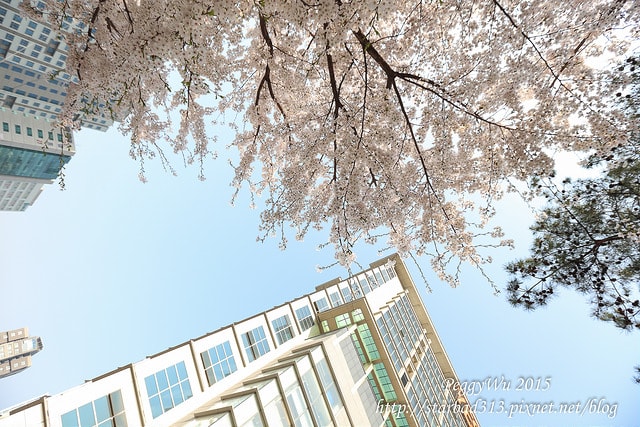 20251013-2njte 20251013-2njte