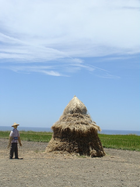 20251013-3di28 20251013-3di28