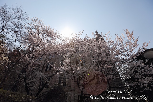 20251013-40tfv 20251013-40tfv