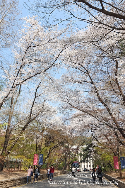 20251013-454t6 20251013-454t6