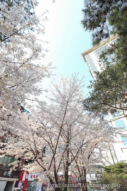 20251013-4xjj4 20251013-4xjj4