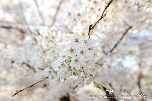 20251013-8iz54 20251013-8iz54