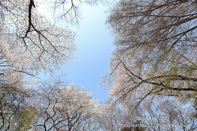 20251013-97mgd 20251013-97mgd