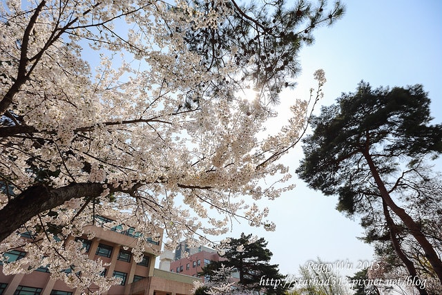 20251013-hivlq 20251013-hivlq