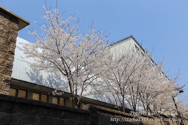 20251013-ms0lm 20251013-ms0lm