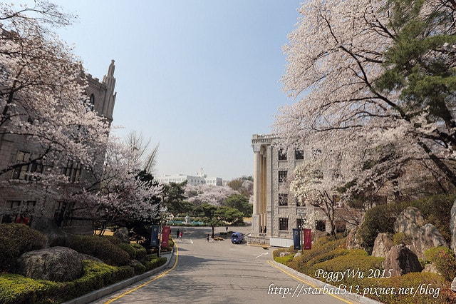 20251013-n8mty 20251013-n8mty