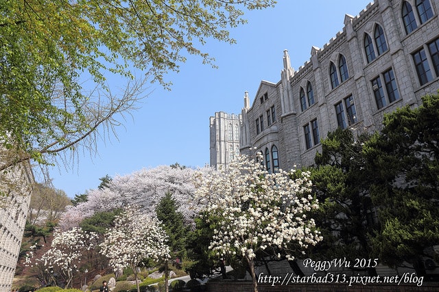 20251013-qllg3 20251013-qllg3