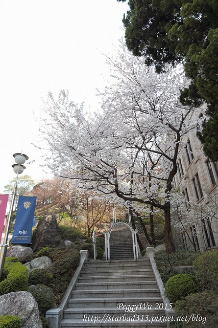 20251013-vtec2 20251013-vtec2