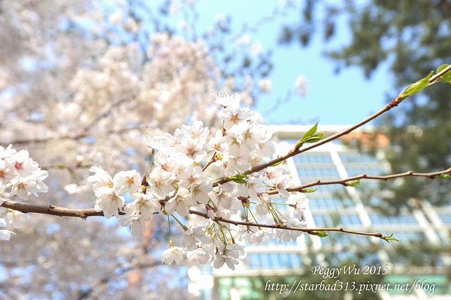 20251013-xzdnl 20251013-xzdnl