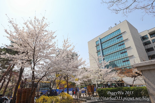 20251013-zw5ar 20251013-zw5ar